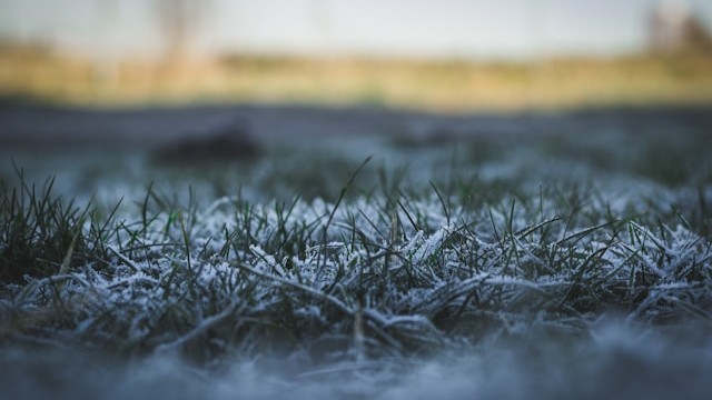 Keep an electronic eye on your wind lidar and met masts through the winter
